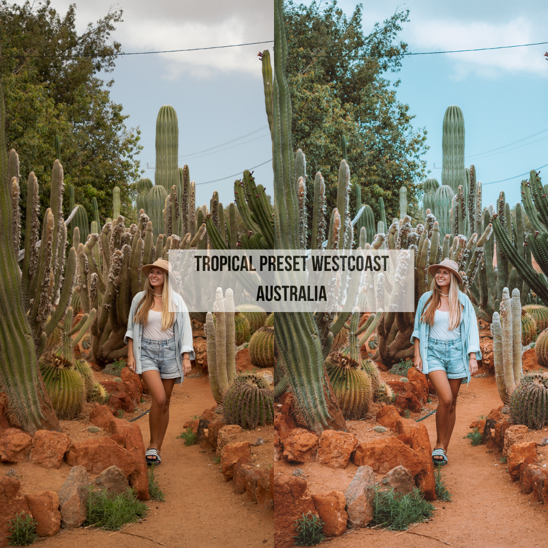 TROPICAL PRESETS