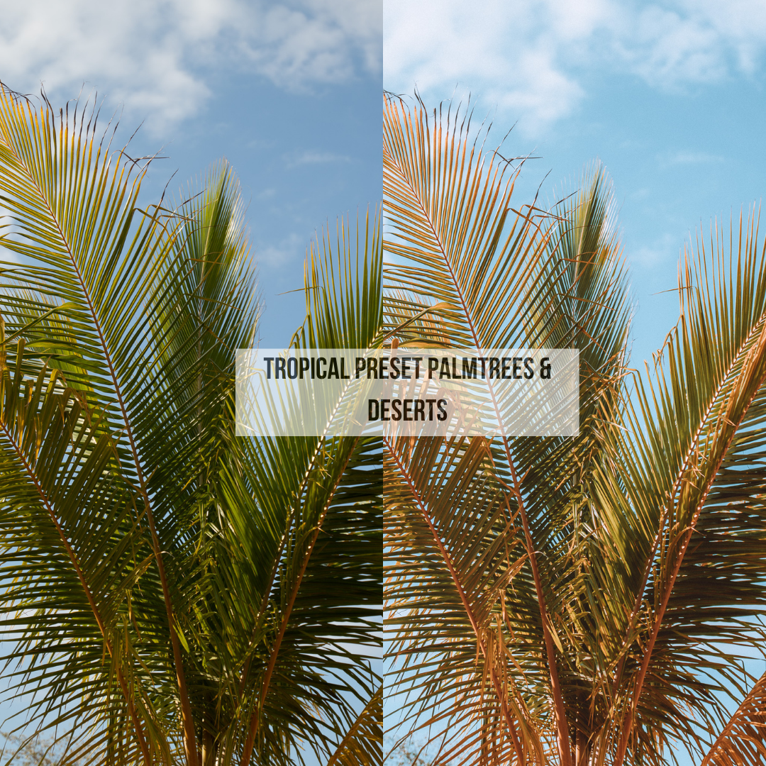 TROPICAL PRESETS