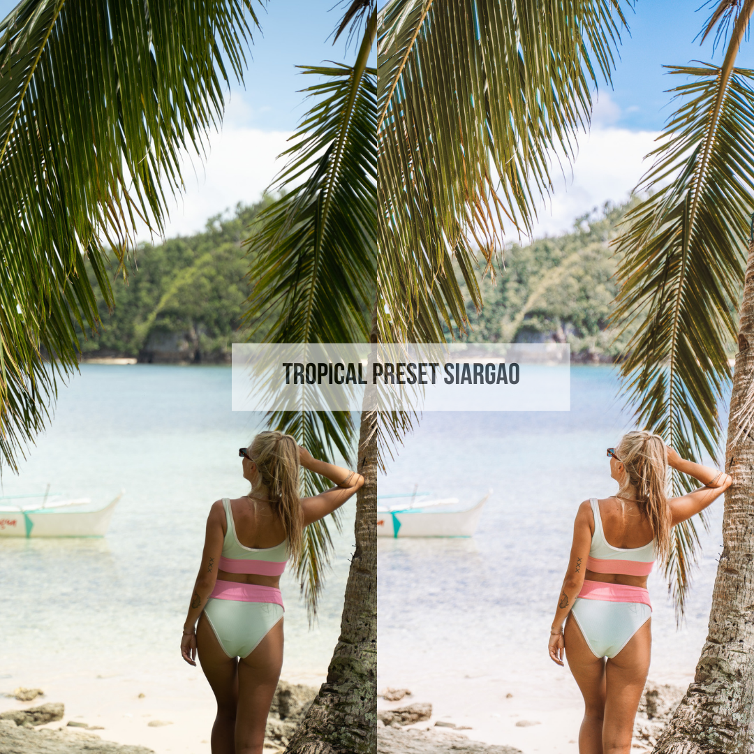 TROPICAL PRESETS