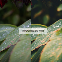 TROPICAL PRESETS