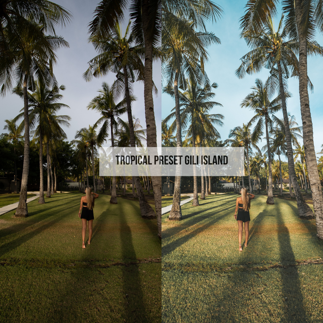 TROPICAL PRESETS