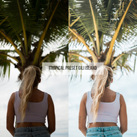 TROPICAL PRESETS