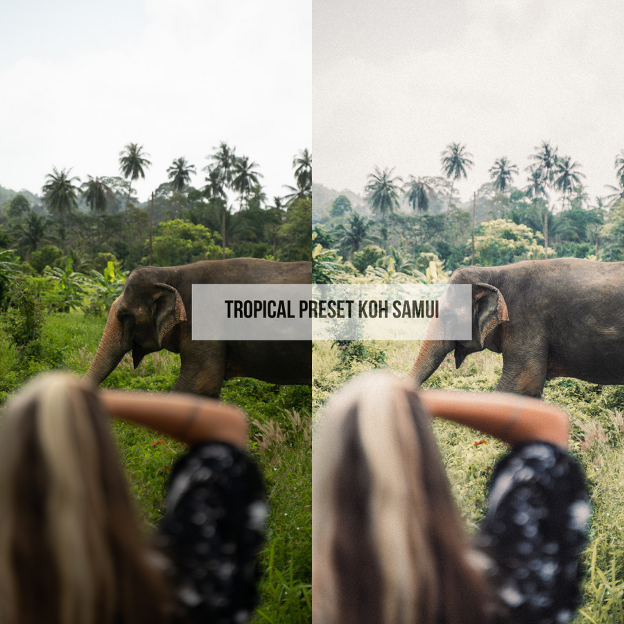 TROPICAL PRESETS