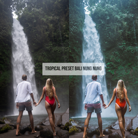 TROPICAL PRESETS