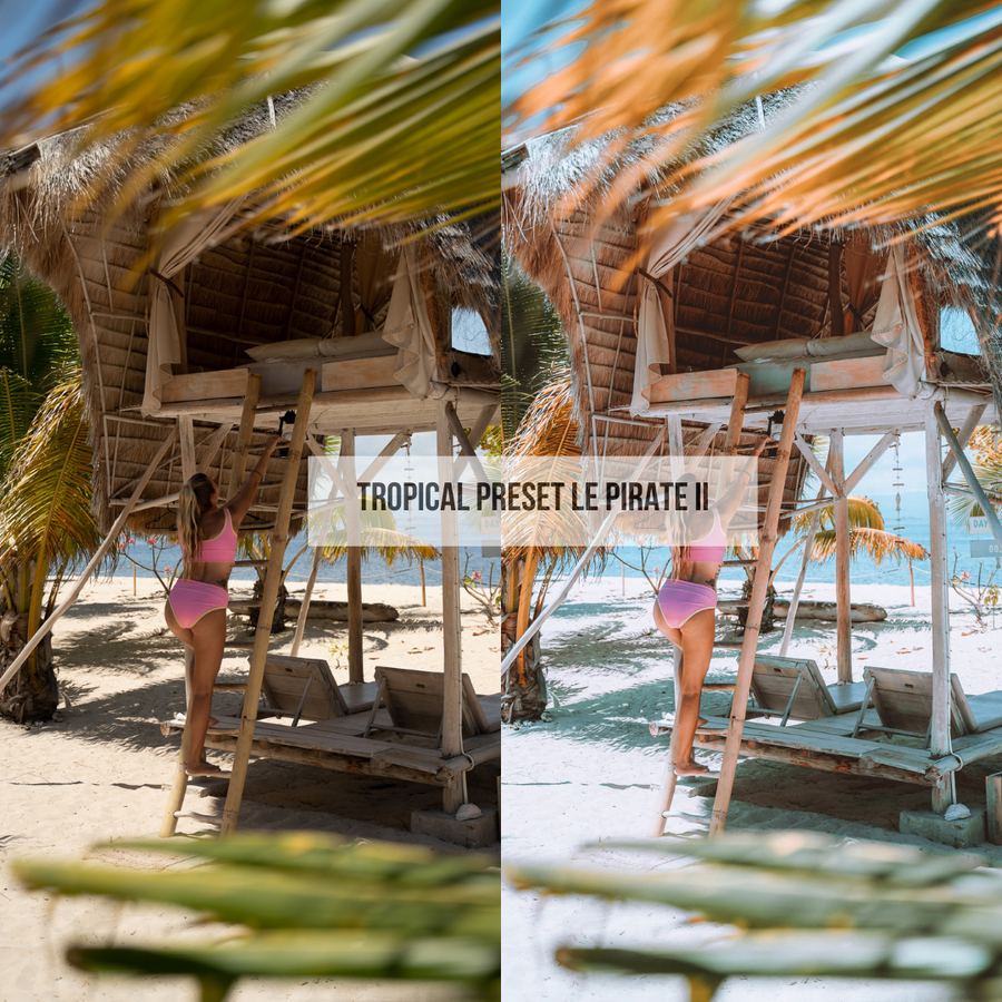 TROPICAL PRESETS